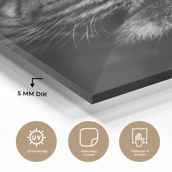 Peinture sur verre - Gros plan d'un tigre dans la jungle - noir et blanc - 80x120 cm - Peintures sur Verre Peintures - Photo sur Glas
