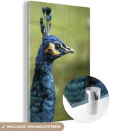 MuchoWow® Glasschilderij - Pauw - Portret -Blauw - 60x90 cm - Acrylglas Schilderijen - Foto op Glas