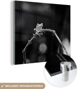 MuchoWow® Glasschilderij 20x20 cm - Schilderij acrylglas - Roodoogmakikikker op tak - zwart wit - Foto op glas - Schilderijen