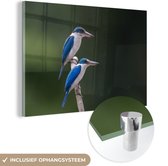 MuchoWow® Glasschilderij 60x40 cm - Schilderij acrylglas - Twee prachtige witkraagijsvogels op een tak - Foto op glas - Schilderijen