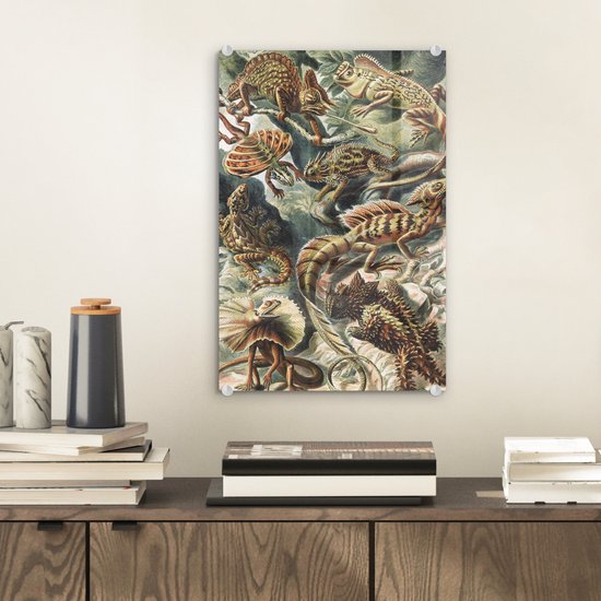 MuchoWow® Peinture sur verre 20x30 cm - Peinture acrylique sur verre - Vintage - Art - Ernst Haeckel - Salamandres - Animaux - Photo sur verre - Peintures