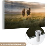 MuchoWow® Glasschilderij 160x80 cm - Schilderij acrylglas - Paarden - Lucht - Gras - Foto op glas - Schilderijen