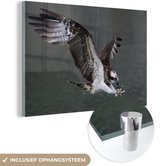 MuchoWow® Glasschilderij - Visarend - Water - Roofvogel - 120x80 cm - Acrylglas Schilderijen - Foto op Glas
