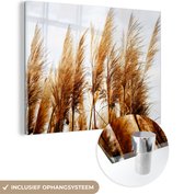 MuchoWow® Peinture sur verre 40x30 cm - Peinture sur verre acrylique - Herbe de la pampa - Soleil - Herbe - Photo sur verre - Peintures