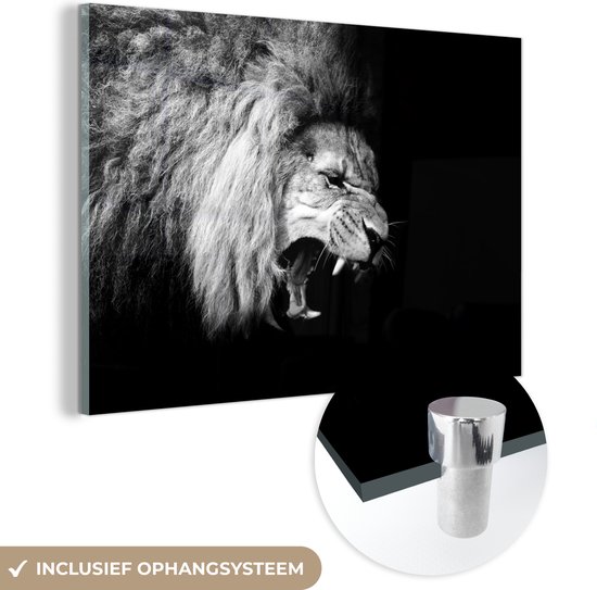Peinture sur verre - Photo sur verre - Verre acrylique - Animaux - Lion - Zwart - Wit - 180x120 cm - Décoration de chambre - Peinture sur verre animaux - Décoration murale verre - Peinture sur verre lion
