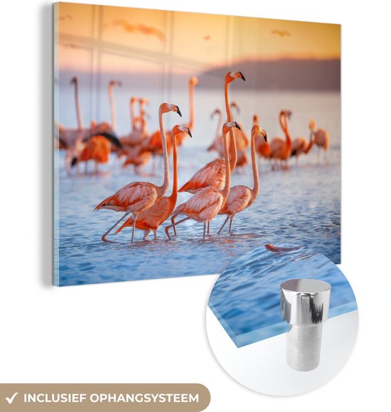 Glasschilderij - Foto op glas - Flamingo - Zonsondergang - Vogel - Tropisch - Acrylglas - Muurdecoratie - 80x60 cm - Schilderij flamingo - Wanddecoratie - Kamer decoratie