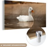 Glasschilderij - Foto op glas - Eend - Vogel - Water - Wit - Woonkamer - 80x40 cm - Acrylglas - Glasschilderij dieren - Muurdecoratie glas - Schilderij glas - Glasschilderij vogels