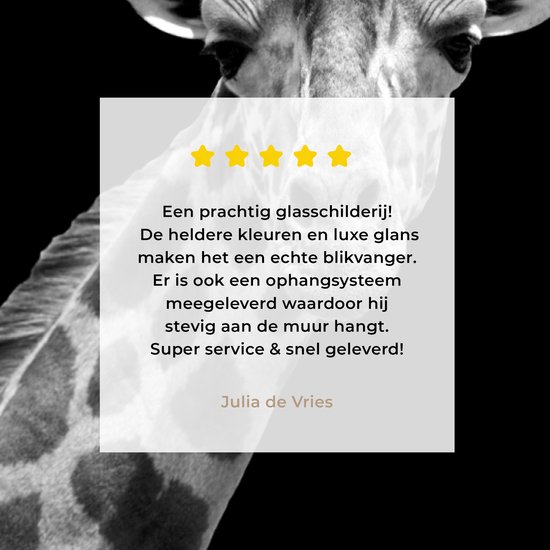 MuchoWow - Peinture sur verre - Girafe - Zwart - Wit - Photo sur verre - Verre acrylique - Décoration murale - 80x120 cm - Salon - Décoration murale animaux - Décoration maison