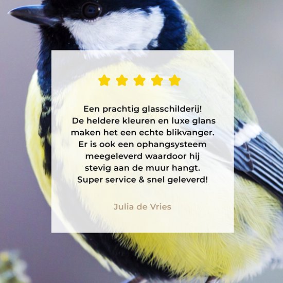 Peinture sur verre - Mésange charbonnière - Vogel - Branche - Mousse - Verre acrylique - Photo sur verre - 80x60 cm - Décoration murale verre - Peinture sur verre oiseaux - Peinture sur verre animaux - Décoration maison - Chambre
