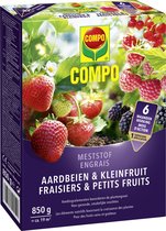 COMPO Meststof Aardbeien & Kleinfruit - directe en lange werking 6 maanden - voor een rijke en smakelijke - doos 850 g