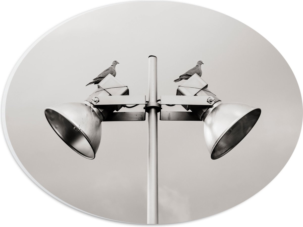 PVC Schuimplaat Ovaal - Grote Speakers op Paal - 28x21 cm Foto op Ovaal (Met Ophangsysteem)