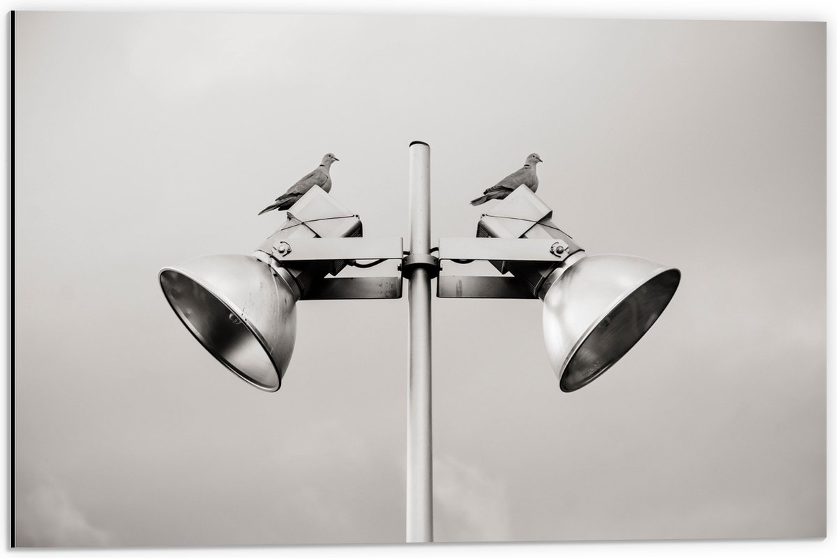 Dibond - Grote Speakers op Paal - 60x40 cm Foto op Aluminium (Wanddecoratie van metaal)