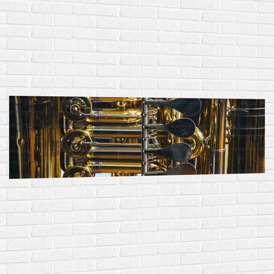 Muursticker - Knoppen van Gouden Trompet - 150x50 cm Foto op Muursticker