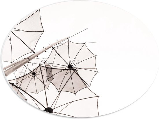 PVC Schuimplaat Ovaal - Doorzichtige Paraplu Vormen tegen Witte Achtergrond - 40x30 cm Foto op Ovaal (Met Ophangsysteem)