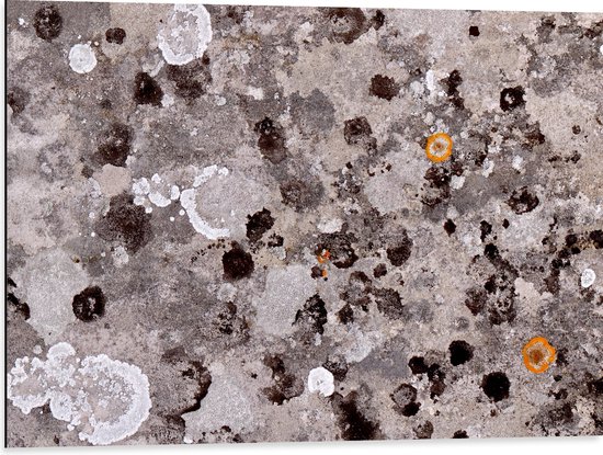 Dibond - Bevlekt Patroon van Bruin en Wit op Grijs - 80x60 cm Foto op Aluminium (Wanddecoratie van metaal)