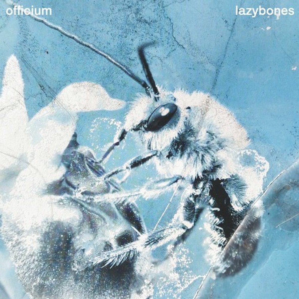 Officium - Lazybones (LP)