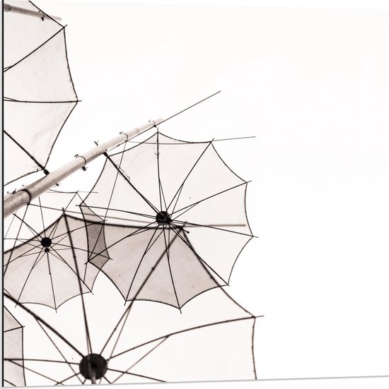 Dibond - Doorzichtige Paraplu Vormen tegen Witte Achtergrond - 80x80 cm Foto op Aluminium (Wanddecoratie van metaal)