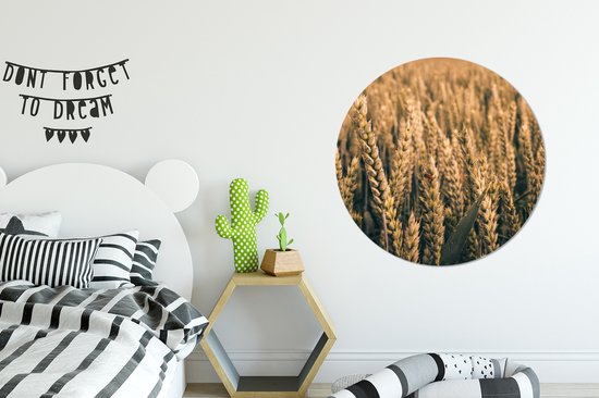 WallCircle - Esthétique décoration chambre - Cercle mural - Cercle mural Intérieur - Nature - Plantes - Blé - Marron - 90x90 cm - Décoration murale - Peintures ronds