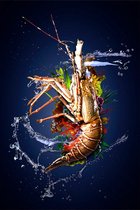 Wonders of the Sea I - 60cm x 90cm - Food Lobster Fotokunst op Plexiglas Schilderij - Acrylglas Wanddecoratie Eten Vis Kreeft
