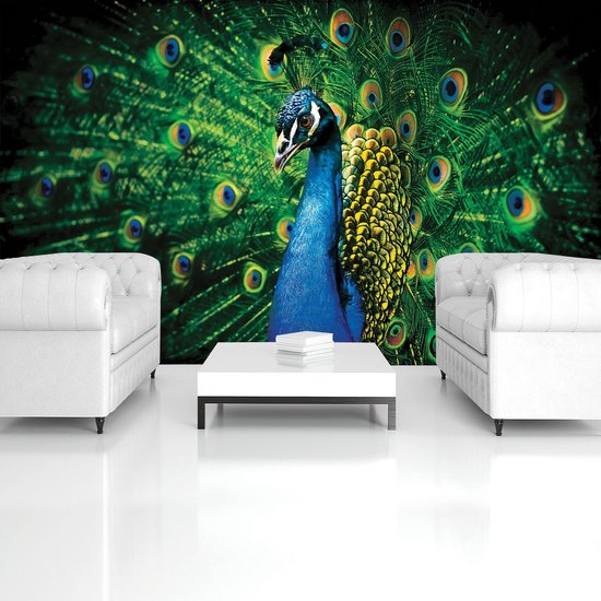 KOMAR Fotobehang vlies RSX6-001 RAW Koi 300x280 cm kopen