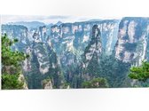 PVC Schuimplaat - Hoge Stijle Rotsen met Minimale Begroeiing in Zhangjiajie, China - 100x50 cm Foto op PVC Schuimplaat (Met Ophangsysteem)