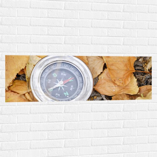 WallClassics - Muursticker - Traditioneel Kompas op Stapel Herfstbladeren - 120x40 cm Foto op Muursticker
