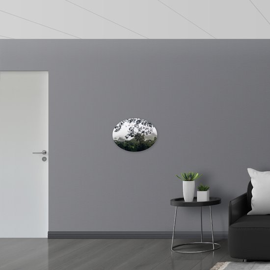 Dibond Ovaal - Takken Groeiend aan Boom boven Boomtoppen - 56x42 cm Foto op Ovaal (Met Ophangsysteem)