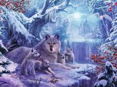 Diamond painting afmeting 50x 70cm - wolven met een uitzicht