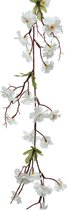 Everlands Guirlande de fleurs/branches de fleurs artificielles - blanc - 187 cm