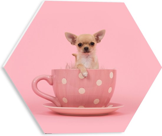 PVC Schuimplaat Hexagon - Kleine Beige Chihuahua Hond in Roze Theekop op Roze Achtergrond - 30x26.1 cm Foto op Hexagon (Met Ophangsysteem)