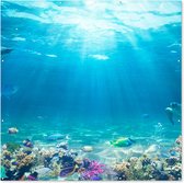 Tuin poster Onderwaterwereld - Zeedieren - Water - Zee - Koraal - Blauw - 200x200 cm - Tuindoek - Buitenposter