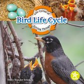 Life Cycles of Living Things - Bird Life Cycle