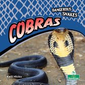 Dangerous Snakes - Cobras