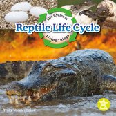 Life Cycles of Living Things - Reptile Life Cycle