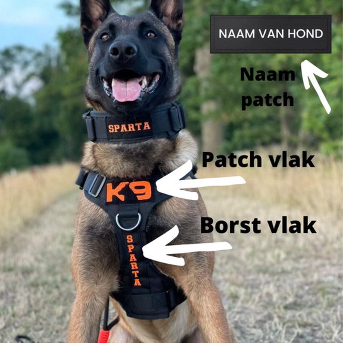 Always Prepared © Honden tuig Met Naam - Honden Harnas Geborduurd -  Tactical – Zwart -... | bol.com