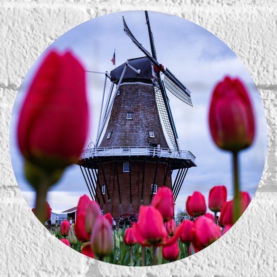 WallClassics - Muursticker Cirkel - Rood Tulpenveld onder aan Bruine Molen - 20x20 cm Foto op Muursticker