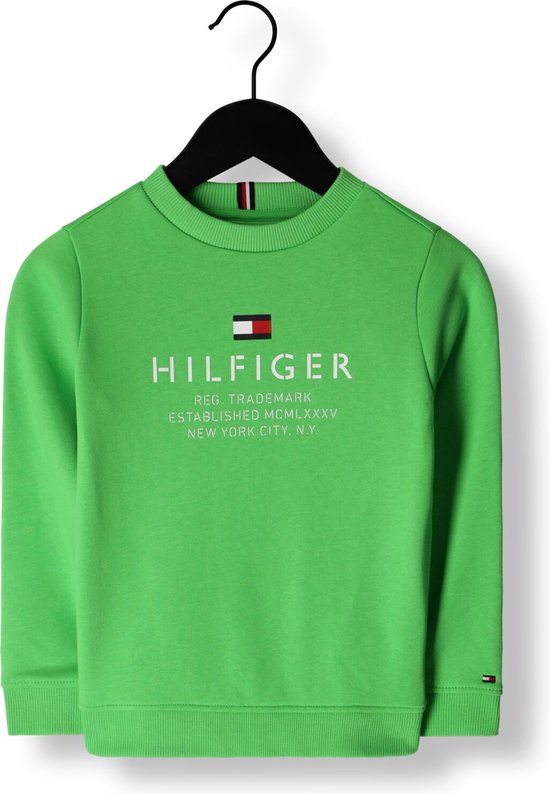 Tommy Hilfiger Th Logo Sweatshirt Truien & Vesten Jongens - - Hoodie - | bol.com