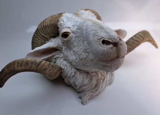 Tête de mouton Ram blanc Décoration murale | bol