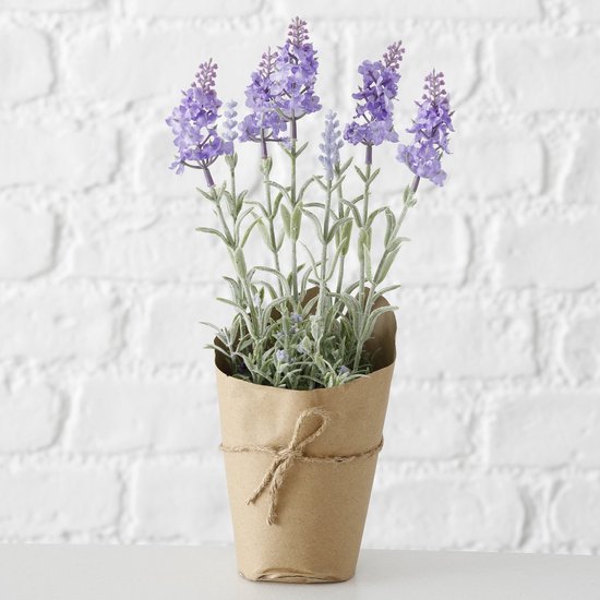 Lavendel in papieren potje lila