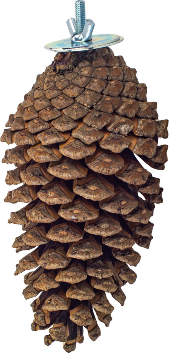 Back Zoo Nature Foraging Pine Cone - Vogelspeelgoed - per stuk