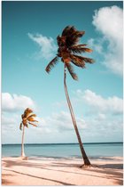 Poster – Waaiende Palmbomen aan Strand  - 40x60cm Foto op Posterpapier