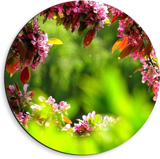 Dibond Wandcirkel - Tak met Roze Bloemen - 40x40cm Foto op Aluminium Wandcirkel (met ophangsysteem)