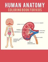 Human Anatomy Coloring Book For Kids