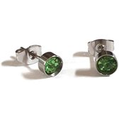 Aramat jewels ® - Zweerknopjes oorbellen rond licht groen zilverkleurig chirurgisch staal 5mm