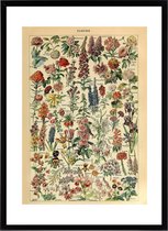 Vintage Poster Bloemen - Les Fleurs - Planten -  Bloem - Natuur Botanisch Millot - Plant & Tuin