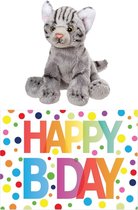 Coffret cadeau peluche chat / chat gris 12 cm avec grand format A5 carte de voeux Happy anniversaire