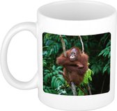 Dieren foto mok orangoetan - apen beker wit 300 ml