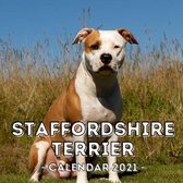 Staffordshire Terrier