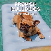 French Bulldogs