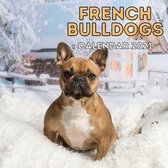 French Bulldogs Calendar 2021